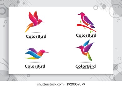 Set of colorful bird vector logo design with modern style , illustration digital abstract bird.