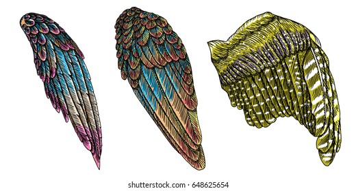 Set of colorful bird wings of different shape in open position isolated. Collection of colourful illustrations with angel wings. Freehand drawing. Hand drawing tattoo vintage body art concept vector.