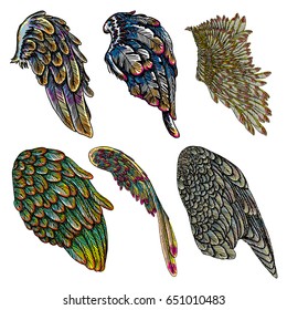 Set of colorful bird wings of different shape in open position isolated. Collection of colourful illustrations with angel wings. Freehand drawing. Hand drawing tattoo vintage body art concept vector.