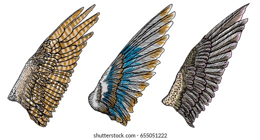 Set of colorful bird wings of different shape in open position isolated. Collection of colourful illustrations with angel wings. Freehand drawing. Hand drawing tattoo vintage body art concept vector.