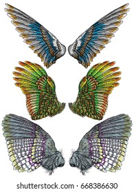 Set of colorful bird wings of different shape in open position isolated. Collection of colourful illustrations with angel wings. Freehand drawing. Hand drawing tattoo vintage body art concept vector.