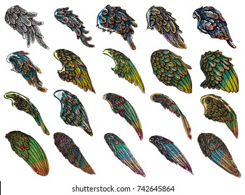 Set of colorful bird wings of different shape in open position isolated. Collection of colourful illustrations with angel wings. Freehand drawing. Hand drawing tattoo vintage body art concept vector.