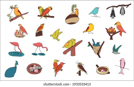 set of colorful birds and birdiesnestlings and eggs in spring, parrots, flamingoes, bats, love birds, feeding babies, making nests, tweeting and eating fruits