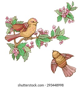 Set of colorful birds and blooming summer flowers, isolated on white background
