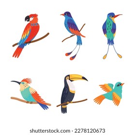 Set of colorful birds. Bright exotic birds cartoon vector illustration