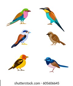 Un conjunto de aves coloridas, ilustración vectorial aislada