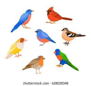 A set of colorful birds, isolated vector illustration