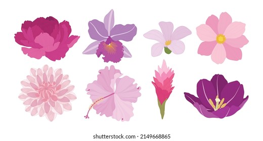 Set of colorful blooming flowers illustration.