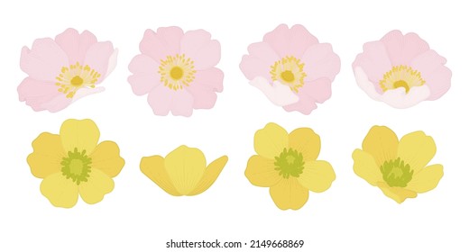 Set of colorful blooming flowers illustration.