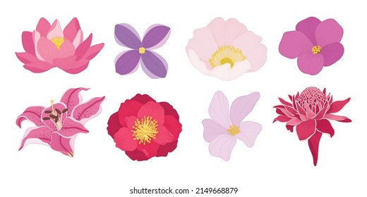 Set of colorful blooming flowers illustration.