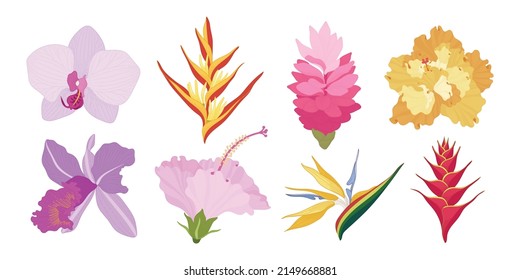 Set of colorful blooming flowers illustration.