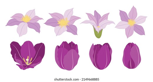 Set of colorful blooming flowers illustration.
