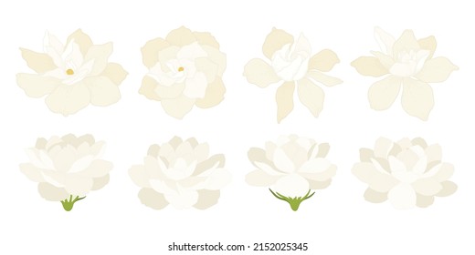 Set of colorful blooming flowers illustration.