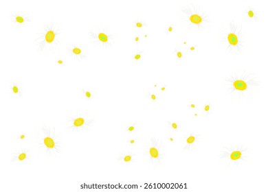 set of colorful blooming white flowers falling without a background