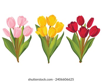Set of colorful bouquet of tulips. Vector illustration.	