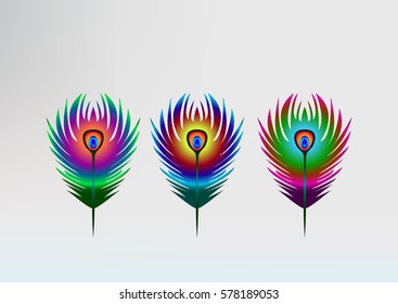 Set of colorful bright peacock feathers. Vector illustration