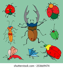Set of colorful bugs. Drawing of beetles. Insect on the green background. Cartoon bug illustration.