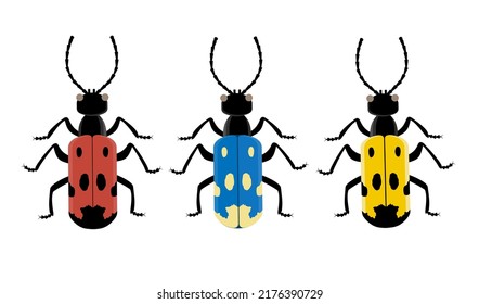 Set of colorful bugs. Red, blue and yellow bugs with dots on white background. Mylabris quadripunctata.