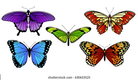 A set of colorful butterflies