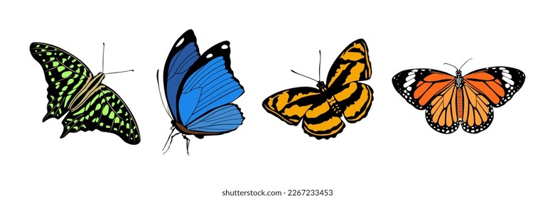Set of colorful butterflies. Butterfly in flat style collection. Vector illustration