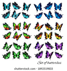 Conjunto de mariposas coloridas, volando en diferentes direcciones. Silhouette de mariposas. Vector.