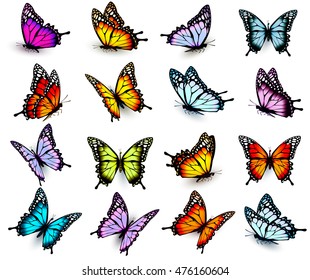 Set of colorful butterflies, flying in different directions. Vector.