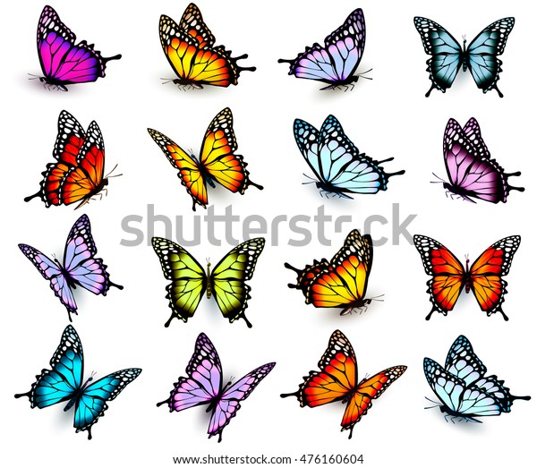 Set Colorful Butterflies Flying Different Directions Stock Vector ...