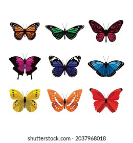 set of colorful butterflies illustration design, flat butterflies collection template vector