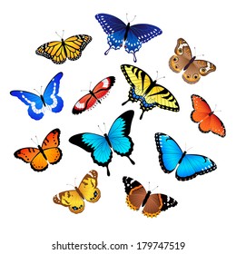 Set of colorful butterflies isolated on white background.