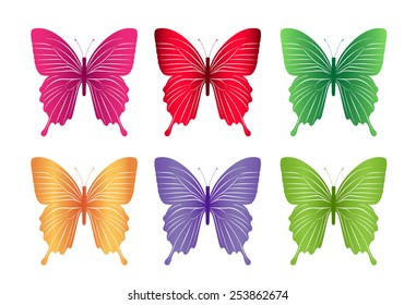 Set of Colorful Butterflies Isolated for Spring. Editable Vector Illustration