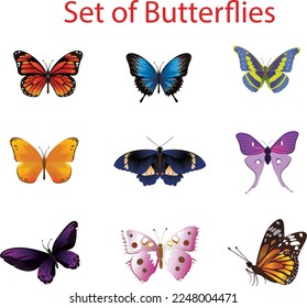 Juego de vectores de mariposas coloridas 
