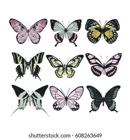 Set of colorful butterflies. Vector