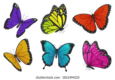 Set of colorful butterflies. Vector illustration.