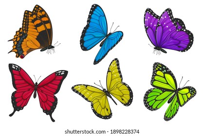 Set of colorful butterflies. Vector illustration.