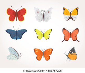 set of colorful Butterfly Vector Design Illustration. summer insect