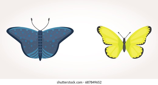 set of colorful Butterfly Vector Design Illustration. summer insect