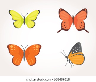 set of colorful Butterfly Vector Design Illustration. summer insect