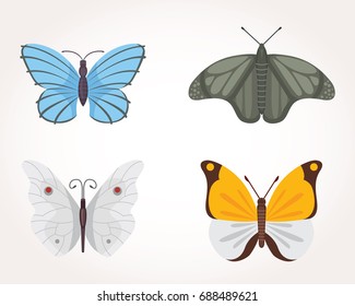 set of colorful Butterfly Vector Design Illustration. summer insect
