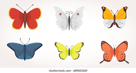 set of colorful Butterfly Vector Design Illustration. summer insect