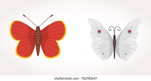 set of colorful Butterfly Vector Design Illustration. summer insect