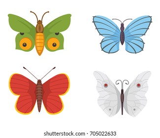 set of colorful Butterfly Vector Design Illustration. summer insect