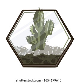 
Set of colorful cactus plants and twigs in the garden with transparent glass vases for decoration. Vector illustration