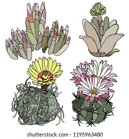 Set colorful cactus and succulent. Vector illustration. Prickly cactus. Realistic graphics, tattoo. Vintage paintings, postcard, background, wallpaper. Home decor. Interior decoration. Best gift