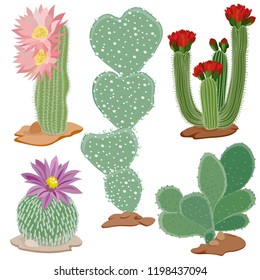 Set colorful cactus and succulent. Vector illustration. Prickly cactus. Realistic graphics, tattoo. Vintage paintings, postcard, background, wallpaper. Home decor. Interior decoration. Gifts