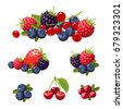 berries illustration