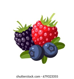 Set of colorful cartoon berries: raspberry, blueberry, blackberry. Vector illustration flat icon isolated on white.