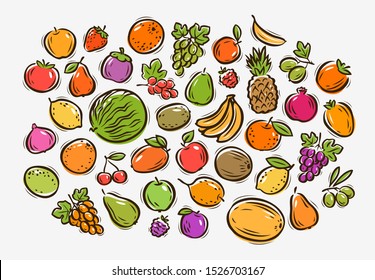 Set of colorful cartoon fruit. Food vector illustration