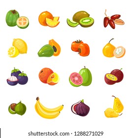 Set of colorful cartoon fruits isolated on white background. Tropical vector fruits illustration