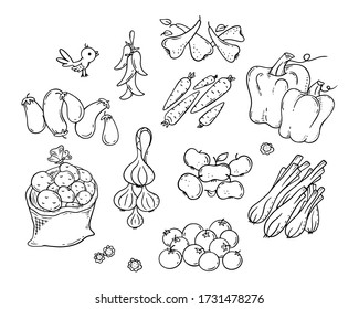 Set of colorful cartoon fruits and vegetables, outline vector drawing