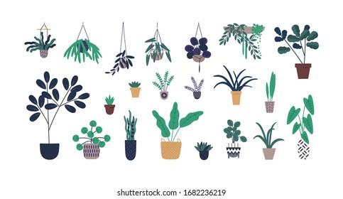 Set of colorful cartoon pottery plant isolated on white background. Collection of houseplant growing in pots vector flat illustration. Fresh greenery in ceramic container botanical gardening